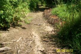 Brackley branch of Winter River completely dried up (Aug. 12th 2012)