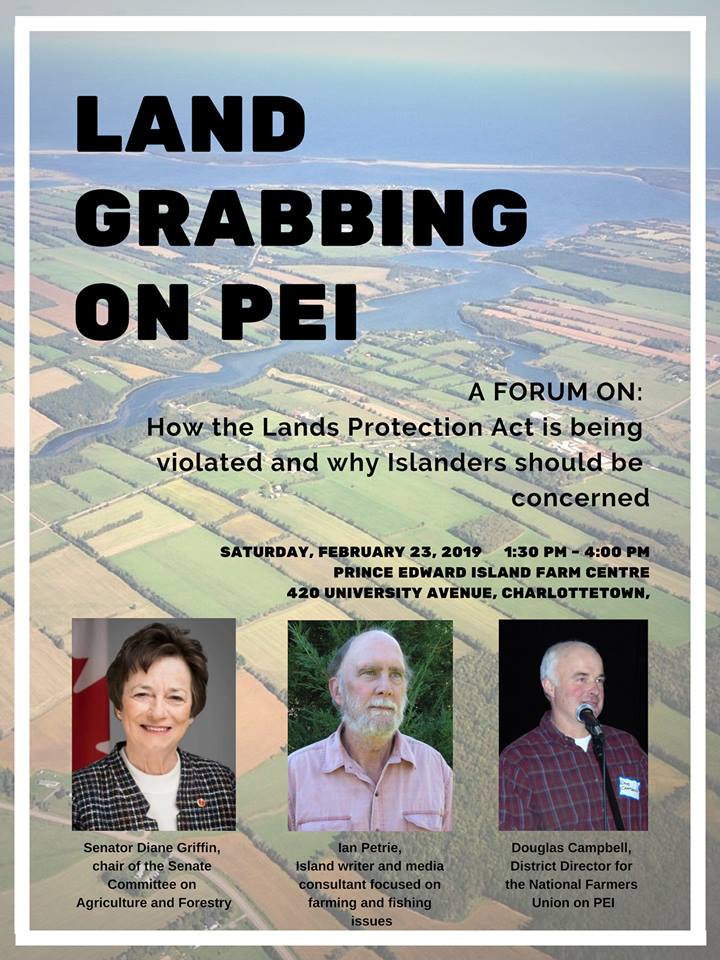 52350421_2054888187879773_2764763674995326976_n